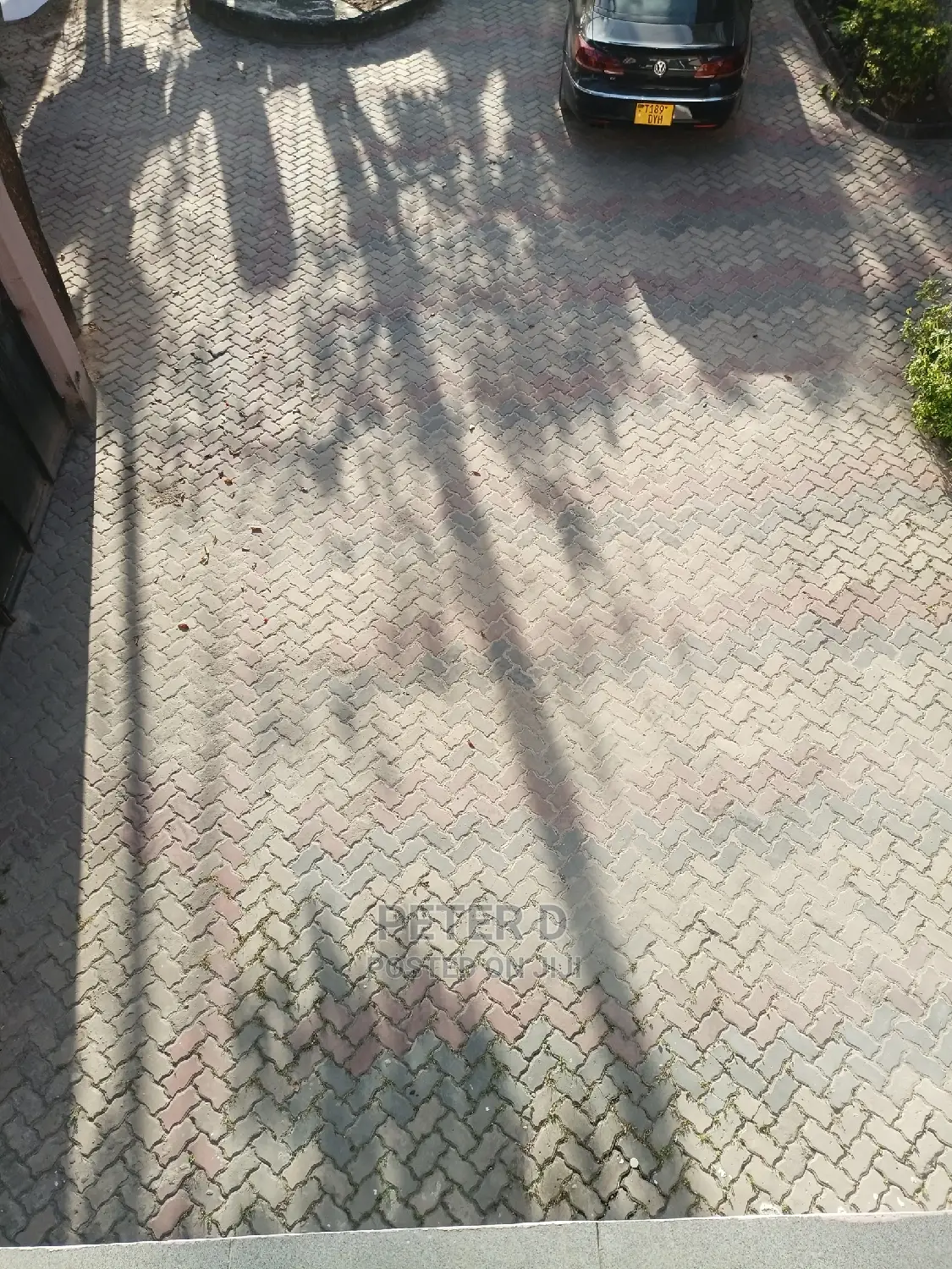 2bdrm Apartment in Mikocheni for rent