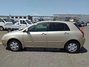 Toyota Allex 2001 Gold