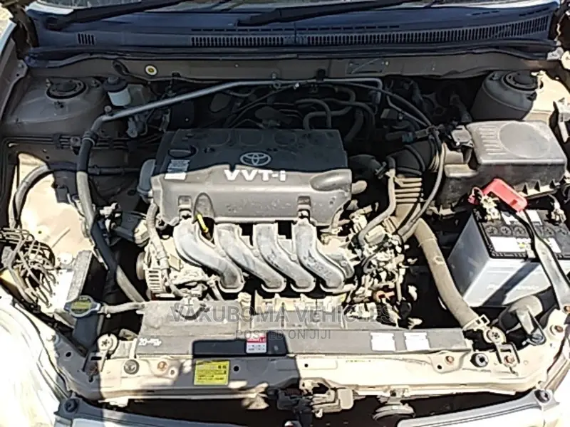 Toyota Allex 2001 Gold