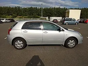Toyota Allex 2005 Silver