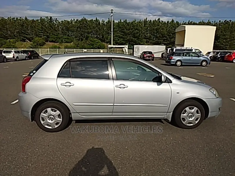 Toyota Allex 2005 Silver