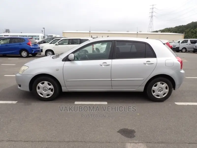 Toyota Corolla RunX 2003 Silver