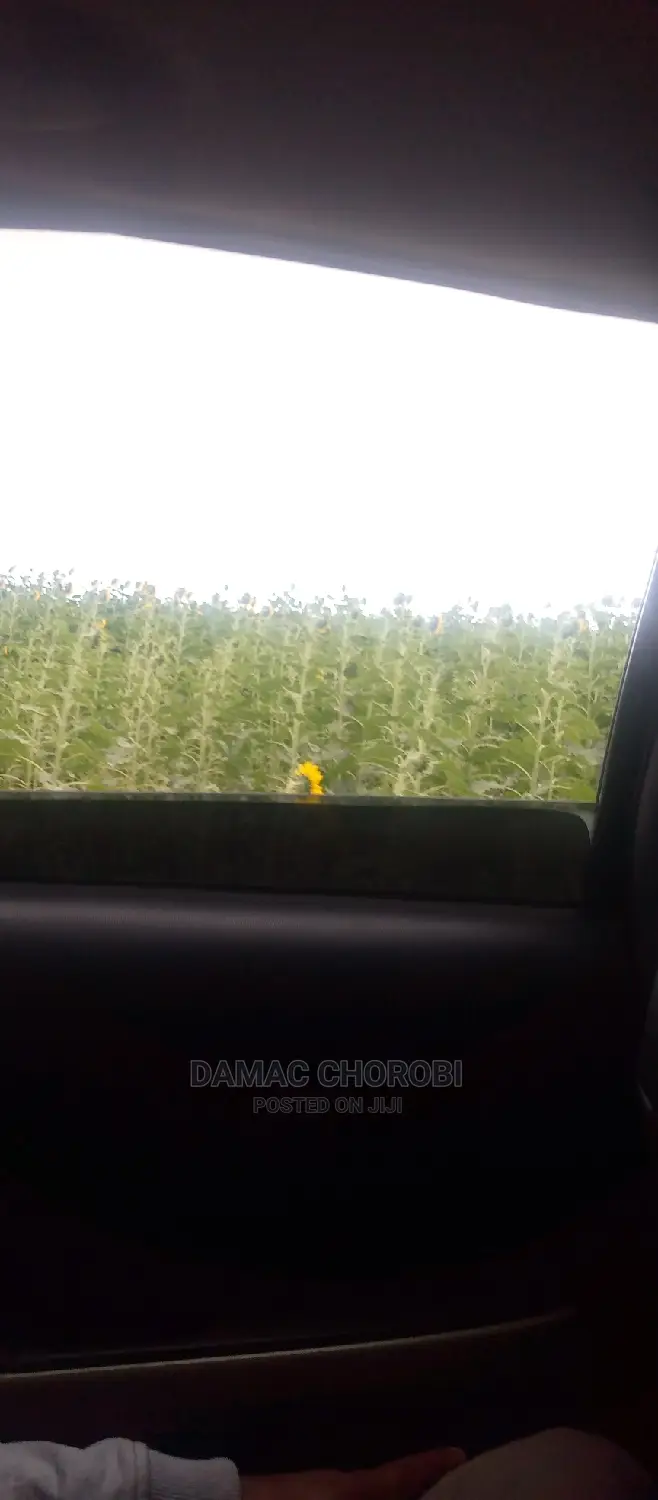 Shamba Lipo Kiwangwa-Bago Linauzwa Acre 16