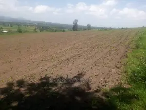 Acre 100 for Sale Loction Kiwangwa