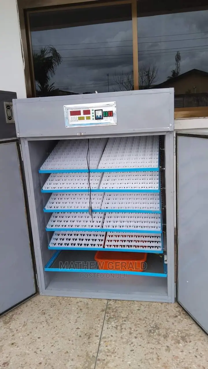 Egg Incubator