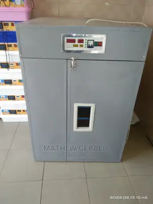 Egg Incubator