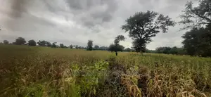 Viwanja Vya Makazi
