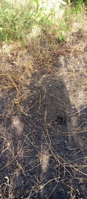 Acre 10 Za Pamoja Zinauzwa Kiwangwa -Bago