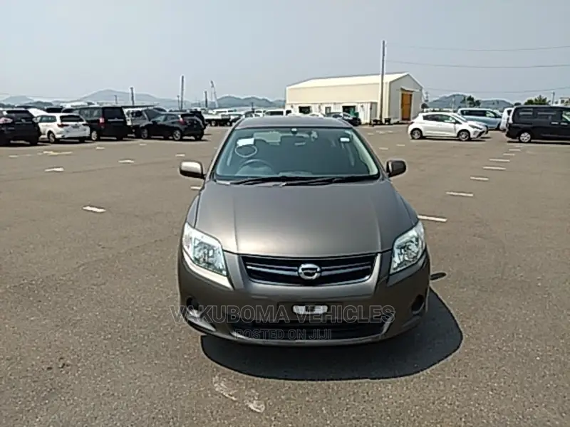 Toyota Corolla Fielder 2009 Gray