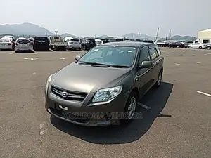 Toyota Corolla Fielder 2009 Gray