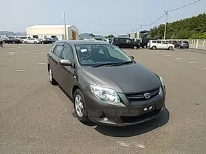 Toyota Corolla Fielder 2009 Gray
