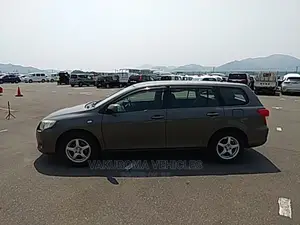 Toyota Corolla Fielder 2009 Gray