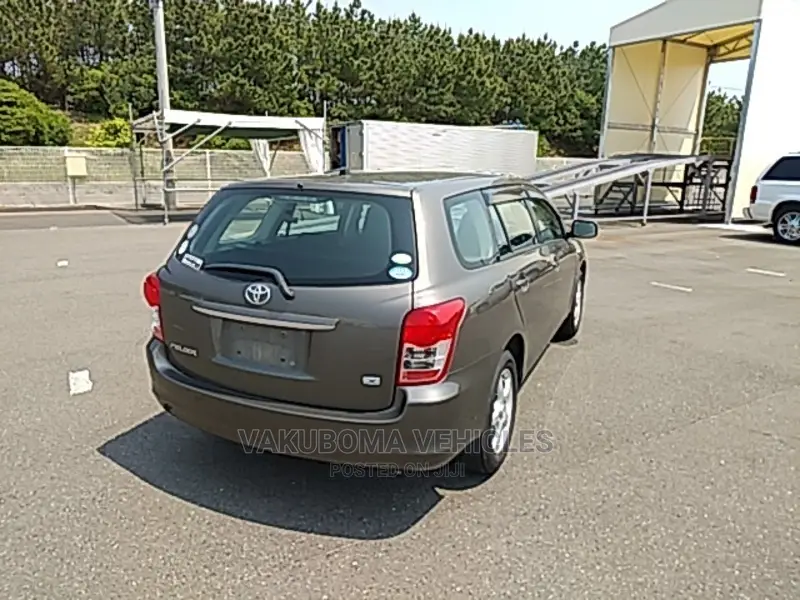 Toyota Corolla Fielder 2009 Gray