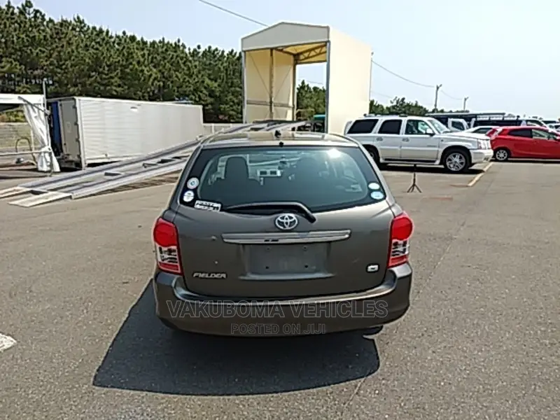 Toyota Corolla Fielder 2009 Gray