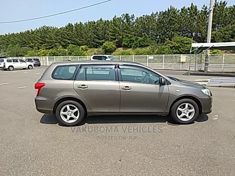 Toyota Corolla Fielder 2009 Gray