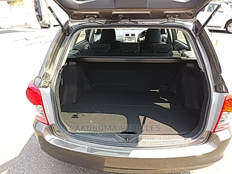 Toyota Corolla Fielder 2009 Gray