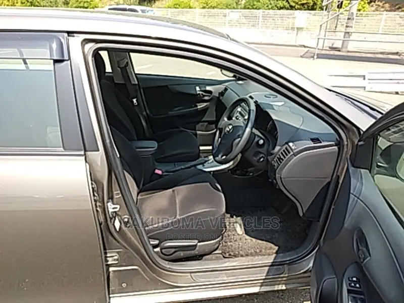 Toyota Corolla Fielder 2009 Gray