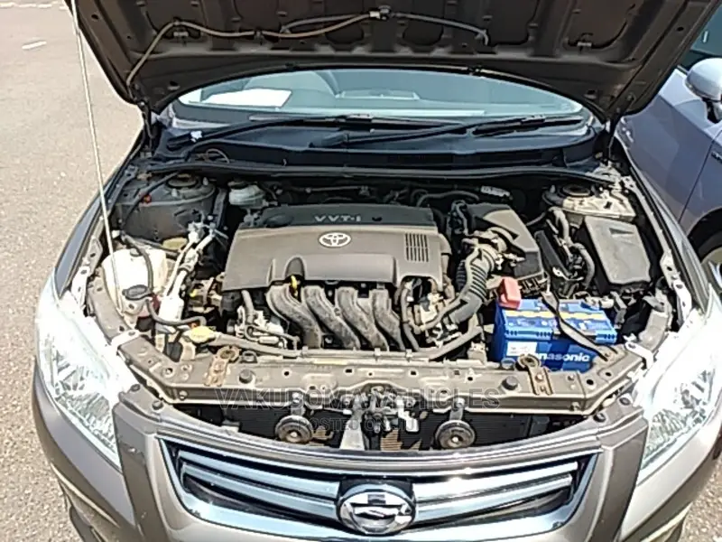 Toyota Corolla Fielder 2009 Gray