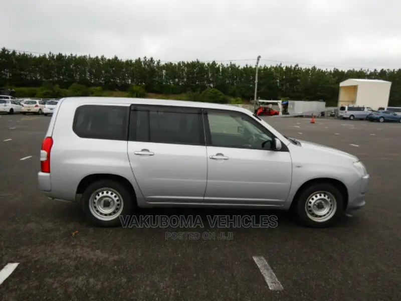 Toyota Probox 2015 Silver