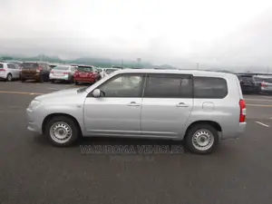 Toyota Probox 2015 Silver