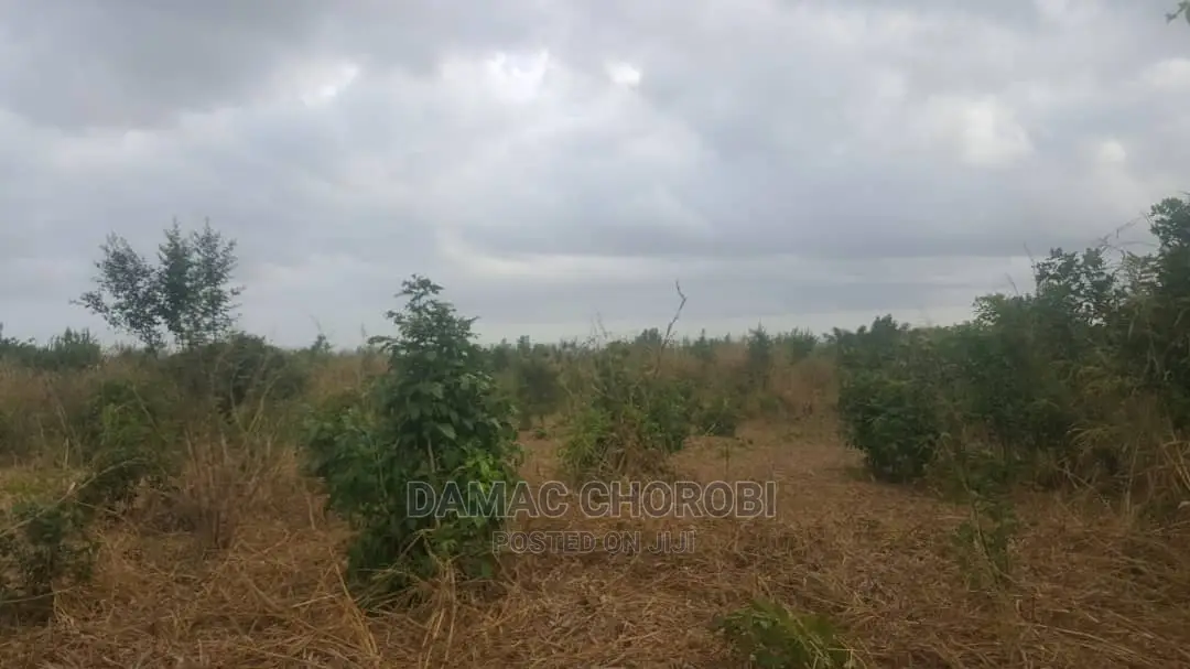 Shamba Acre 17 for Sale Loction Bago Bagamoyo