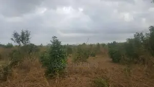 Shamba Acre 17 for Sale Loction Bago Bagamoyo