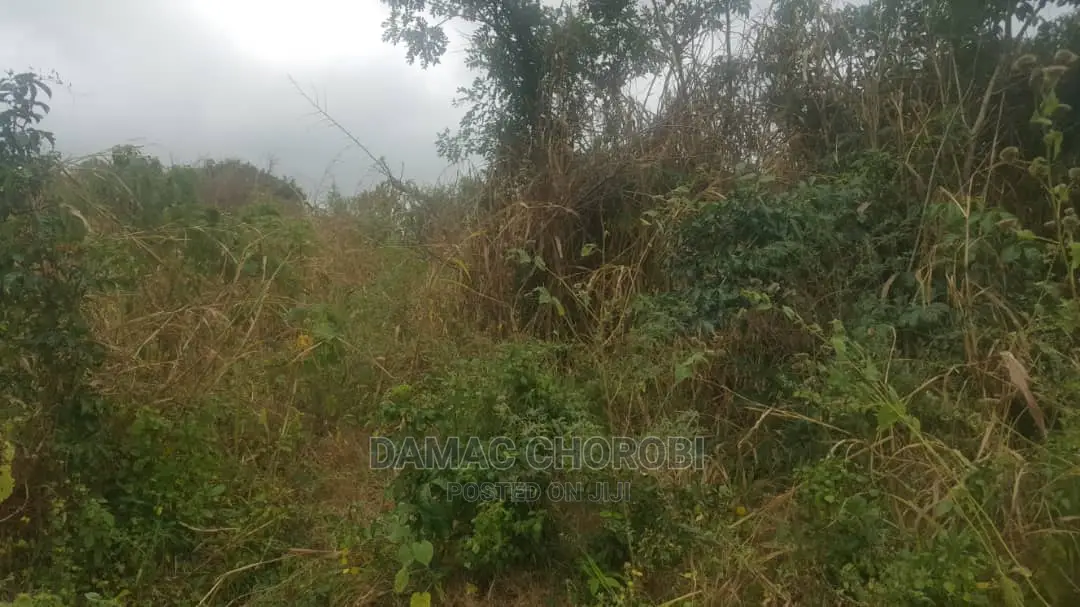 Shamba Acre 17 for Sale Loction Bago Bagamoyo