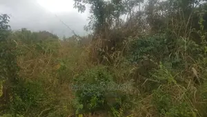 Shamba Acre 17 for Sale Loction Bago Bagamoyo