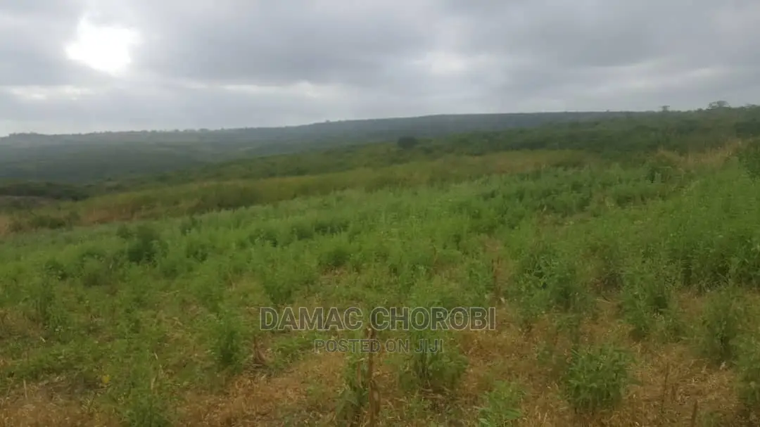 Shamba Acre 17 for Sale Loction Bago Bagamoyo