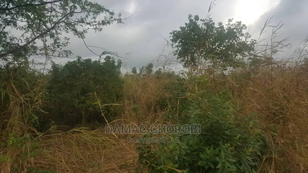 Acre 12 for Sale Bago Kiwangwa