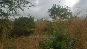 Acre 12 for Sale Bago Kiwangwa