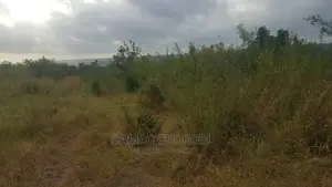 Acre 12 for Sale Bago Kiwangwa