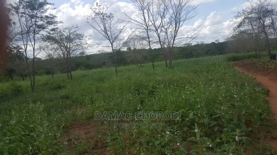 Acre 200 for Sale Loction Mbwewe Pwani