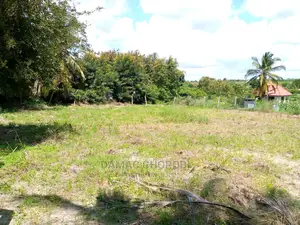 Acre 400 Bora Kabisa Kwa Kilimo Na Makazi