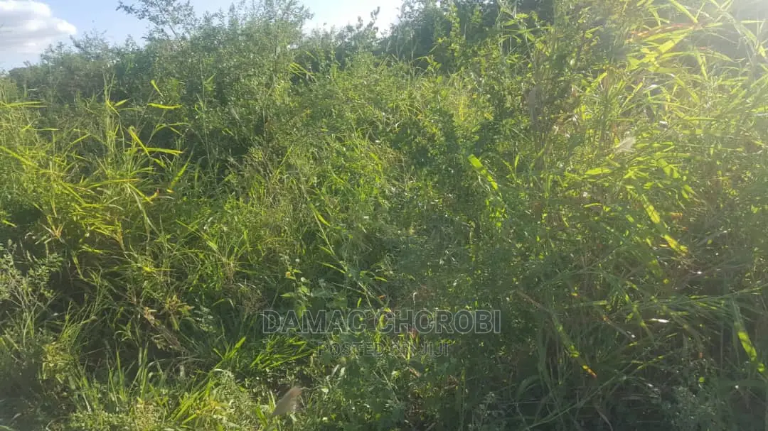 Acre 400 Bora Kabisa Kwa Kilimo Na Makazi