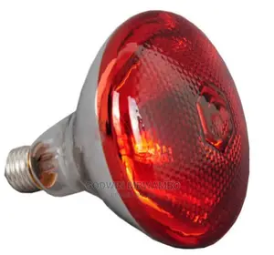 Heat Lamp Bulb