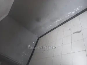 2bdrm Bungalow in Sinza Mori for Rent