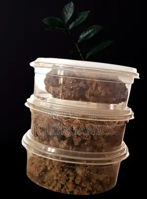 Black African Soap Raw