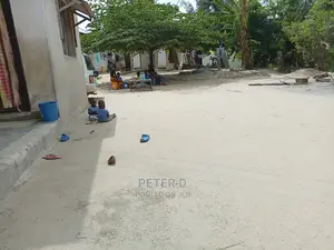 Kiwanja Kina Nyumba Na Frame