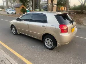 Toyota Allex 2002 Gold