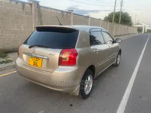 Toyota Allex 2002 Gold