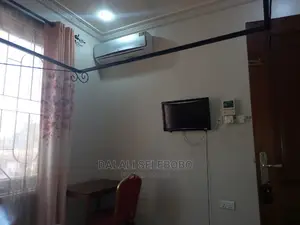 Furnished Mini Flat in Sinza Lion for rent