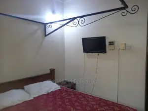 Furnished Mini Flat in Sinza Lion for rent