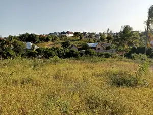 Kiwanja Kizuri Sana