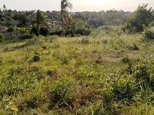 Kiwanja Kizuri Sana