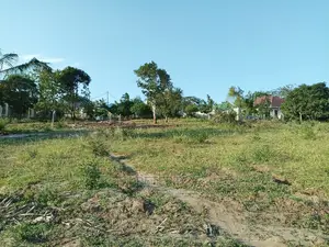 Photo - Kiwanja Tambarale