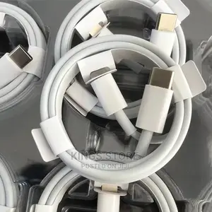 Original iPhone 13 Pro Max Charger