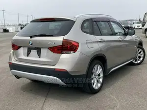 BMW X1 2011 Gray