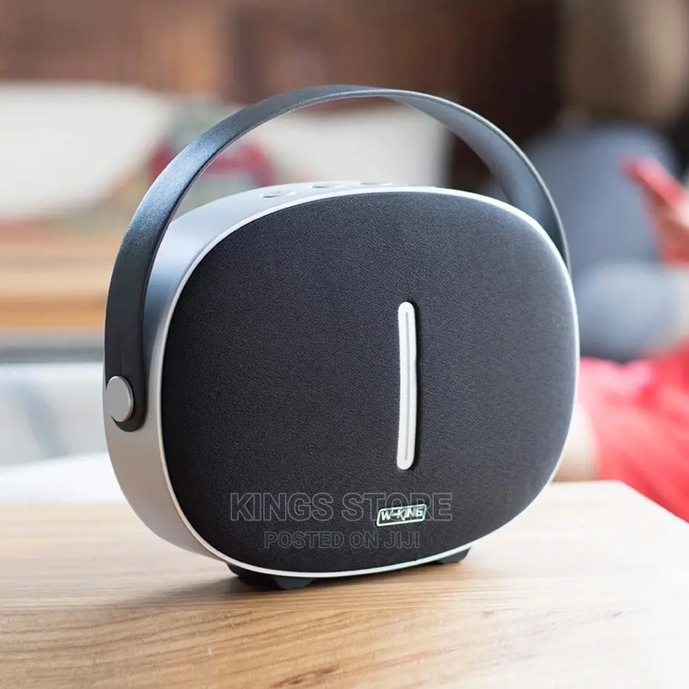 W-King T8 Hifi Portable 30 Speaker