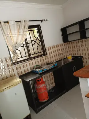 Furnished 1bdrm Apartment in Mikocheni for rent